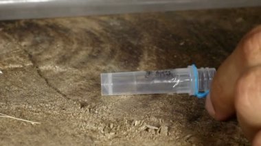 Video, tüpteki yılandan zehir, çıkarılan zehir, şırıngalı kişi.