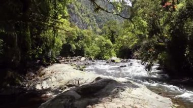 Ormanda akan nehrin videosu, yazın doğa. 