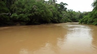 Nehrin tropikal ormanlardaki hızlandırılmış videosu, Ekvador Amazon 