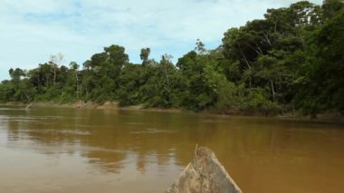 Ekvador Amazon 'u, tropikal ormanlardaki nehir videosu