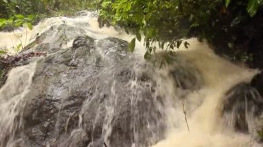 Tropikal yaprakların ve kahverengi nehir akışının videosu 