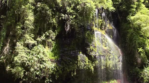 Video Waterfall Drops Splashes Nature Beauty — Stock Video