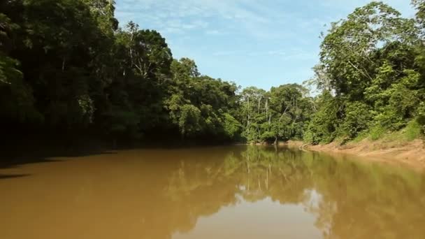 time lapse vidéo de la rivière dans les jungles tropicales, Amazonie équatorienne 
