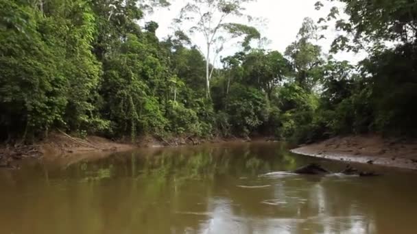 time lapse vidéo de la rivière dans les jungles tropicales, Amazonie équatorienne 