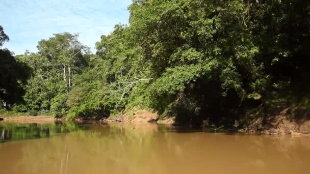 Amazonie équatorienne, vidéo de la rivière dans les jungles tropicales