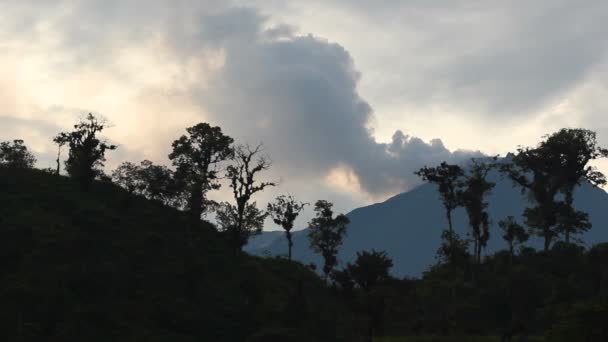 Vídeo Erupção Vulcânica Montanhas Árvores — Vídeo de Stock