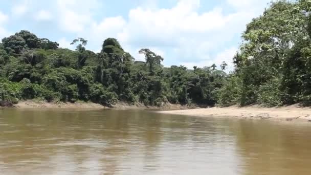 Zeitraffer Video Rio Shiripuno Flusslauf Tropischer Regenwald Ecuadorianischen Amazonas — Stockvideo