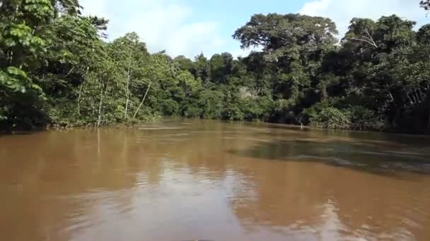 vidéo rapide de la rivière dans les jungles tropicales, Amazonie équatorienne 