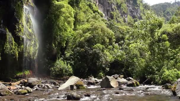 Video Von Wasserfall Und Flusslauf Natur — Stockvideo