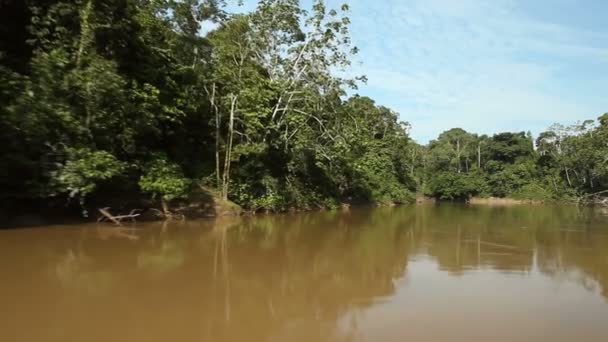 time lapse vidéo de la rivière dans les jungles tropicales, Amazonie équatorienne 