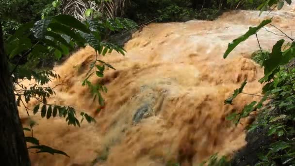 Wideo Przepływu Rzeki Błota Wody Wylewania — Wideo stockowe