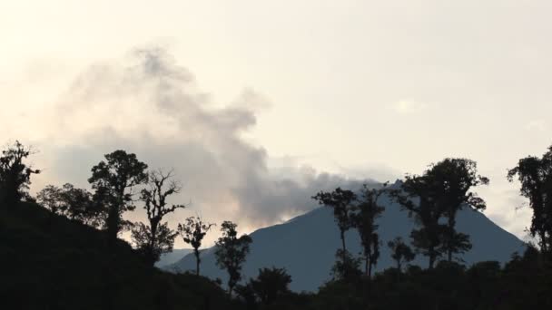 Video Volcanic Eruption Mountains Trees — Stock Video