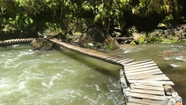 Foresta Tropicale Selvaggia Ponte Legno Sopra Flusso Del Fiume Video — Video Stock