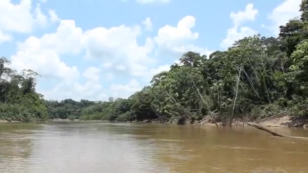 Film Upływu Czasu Rio Shiripuno Przepływ Rzeki Tropikalny Las Deszczowy — Wideo stockowe
