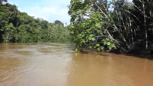 vidéo rapide de la rivière dans les jungles tropicales, Amazonie équatorienne 