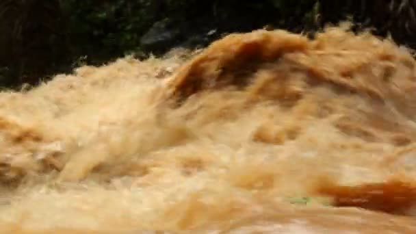 Video Brown River Flow — Stock Video