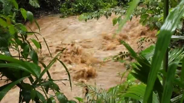 Vídeo Del Caudal Del Río Barro Agua Vertiendo — Vídeo de stock