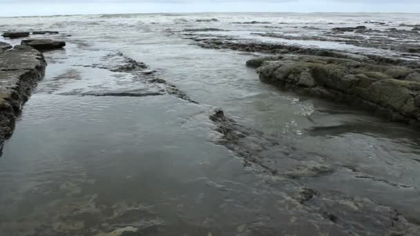 Відео Скелястий Скелястий Пляж Морські Хвилі — стокове відео