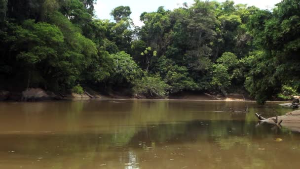 Amazonie équatorienne, vidéo de la rivière dans les jungles tropicales