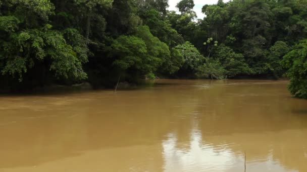 Ecuadorianischer Amazonas Video Eines Flusses Tropischen Dschungel — Stockvideo
