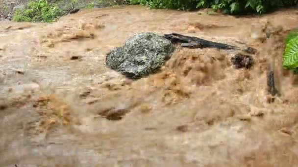 Vídeo Del Caudal Del Río Barro Agua Vertiendo — Vídeo de stock