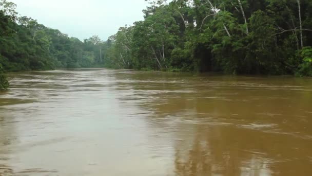 Amazzonia Ecuadoriana Video Fiume Nelle Giungle Tropicali — Video Stock