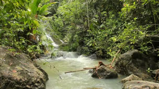 Video River Tropical Jungles Rio Napo Ecuadorian Amazon — Stock Video