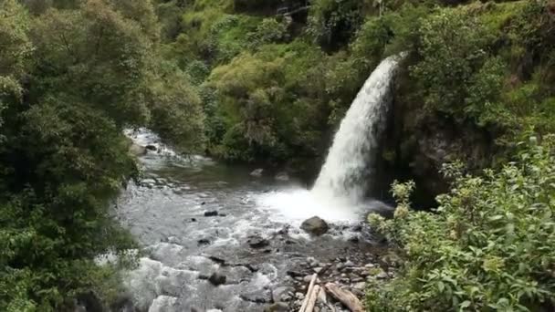Wasserfall Wilden Tropenwald Grüne Blätter Auf Pflanzen Video — Stockvideo