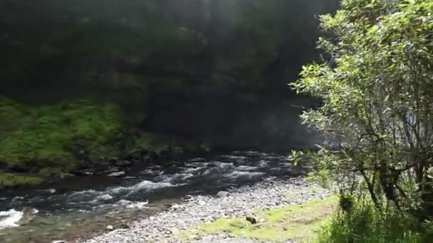 Video Van Waterval Druppels Spatten Natuur Schoonheid — Stockvideo