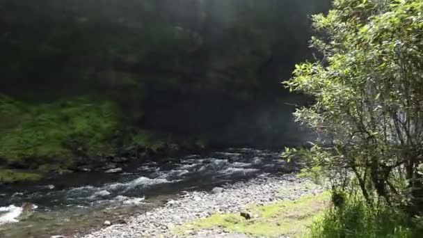 Video Von Wasserfall Tropfen Spritzer Schönheit Der Natur — Stockvideo