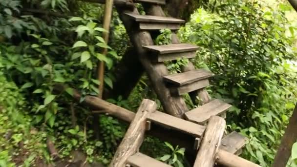Дикий Тропический Лес Деревянная Лестница Дрожащее Видео Бодрствования — стоковое видео