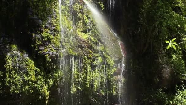 Vídeo Cachoeira Cai Salpicos Beleza Natureza — Vídeo de Stock