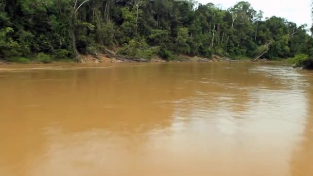 Zeitraffer Video Eines Flusses Tropischen Dschungel Des Ecuadorianischen Amazonas — Stockvideo