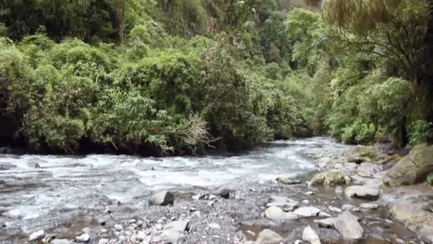 Video Von Wald Und Fluss Felsen Und Steinen Wasser — Stockvideo