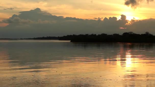 Video Sunset Atas Anak Sungai Utama Dari Amazon Rio Napo — Stok Video