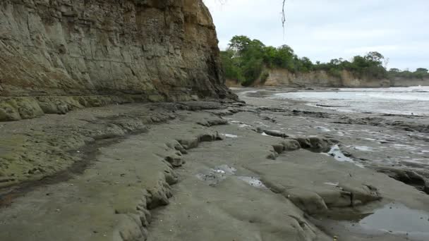 Felsküste Strand Und Meereswellen Video — Stockvideo