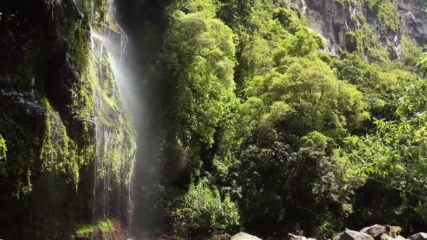 Vídeo Cachoeira Cai Salpicos Beleza Natureza — Vídeo de Stock