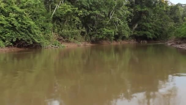 Time Lapse Video River Tropical Jungles Ecuadorian Amazon — Stock Video