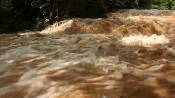 Video Brown River Flow — Stock Video