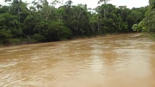 Zeitraffer Video Eines Flusses Tropischen Dschungel Des Ecuadorianischen Amazonas — Stockvideo