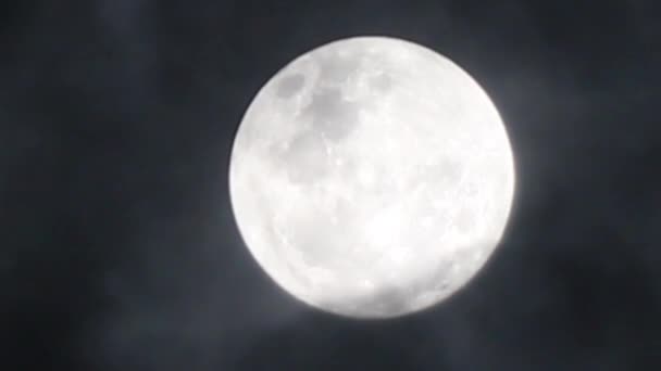 Video Luna Llena Cielo Nocturno — Vídeos de Stock