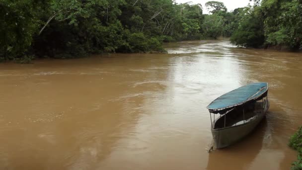 Vídeo Floresta Rio Com Barco Floresta Tropical Amazônia Equatoriana — Vídeo de Stock