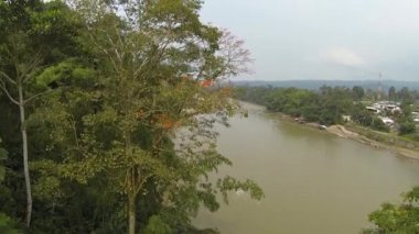 Orman ağaçları ve nehir akıntısı videosu, Ekvador Amazon 'daki köy binaları.