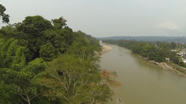 Video Von Waldbäumen Und Flusslauf Dorfgebäude Ecuadorianischen Amazonasgebiet — Stockvideo