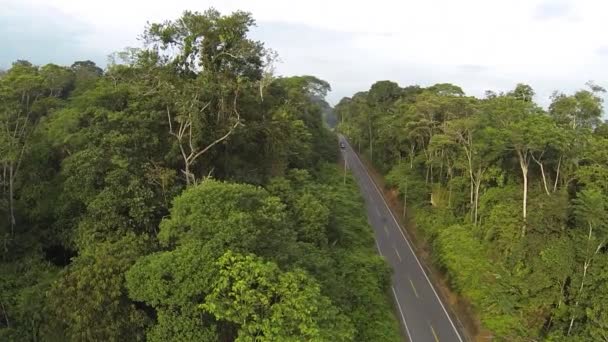 Video Flygfoto Amazonas Motorväg Ecuador Regnskog Till Amazonas Bassäng — Stockvideo