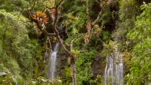 Zeitraffer Video Von Wasserfall Wasserspritzern — Stockvideo