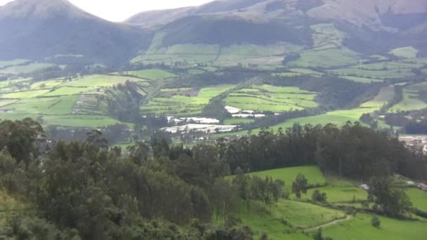 Video Pemandangan Udara Dengan Pohon Musim Panas Dan Pegunungan — Stok Video
