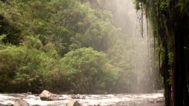 Rio Pita 'daki şelale videosu ve nehir akışı, Ekvador And Dağları