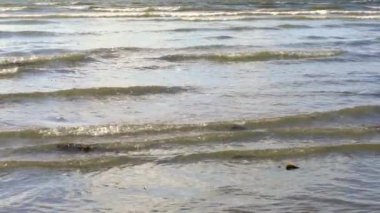 Su akışı, deniz dalgalanması, yavaş çekim videosu 