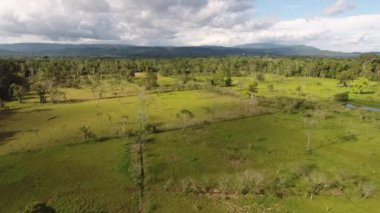 Ağaçlar, çayırlar ve dağlarla dolu orman manzarasının drone videosu 